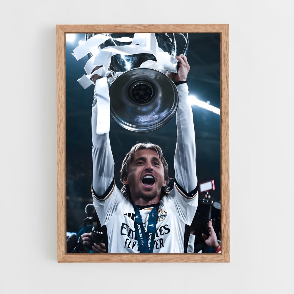 Poster Luka modric immortalisée (vue 4)